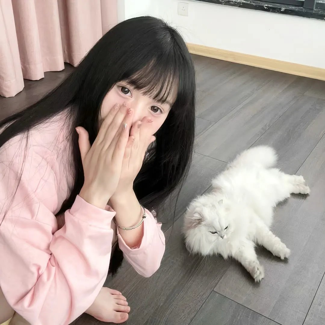 旱码头